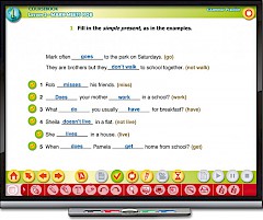 Interactive Grammar Practice